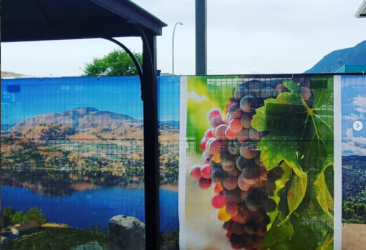 Hoarding construction fencing